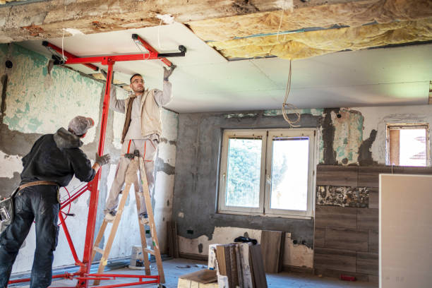 Best Insulation Removal Services  in West Sayville, NY