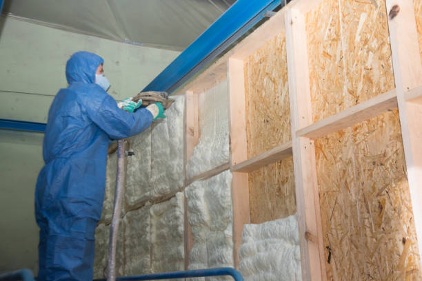 Best Cellulose Insulation  in West Sayville, NY